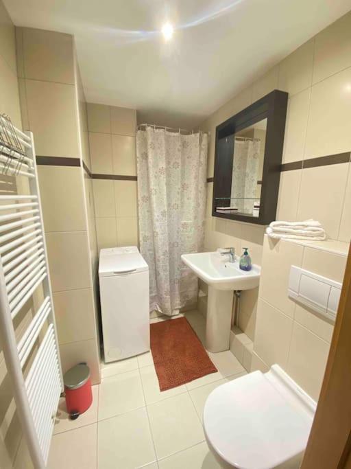 Le "Petit Colmarien" A 1Mn Du Centre Appartement Buitenkant foto