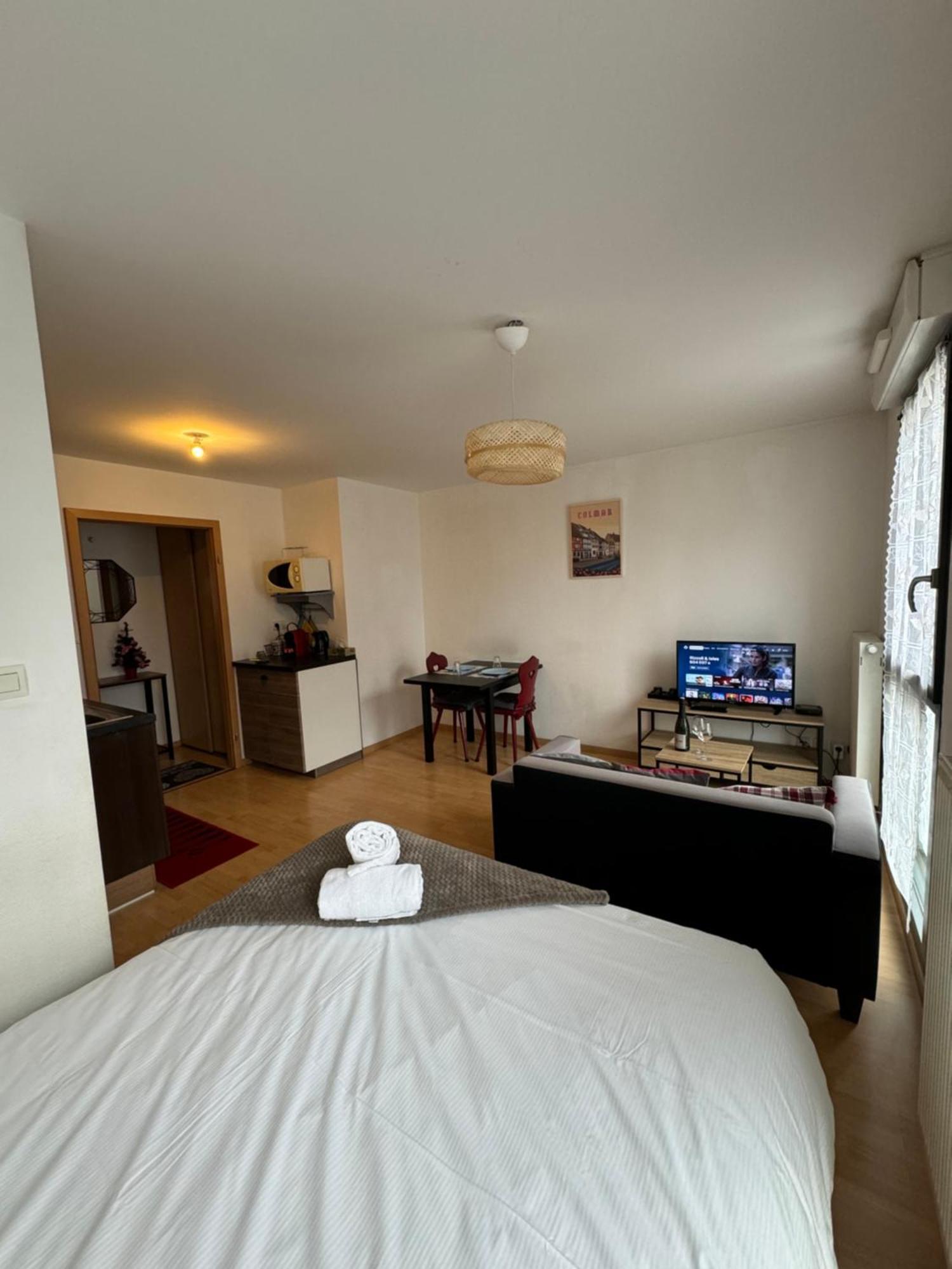 Le "Petit Colmarien" A 1Mn Du Centre Appartement Buitenkant foto