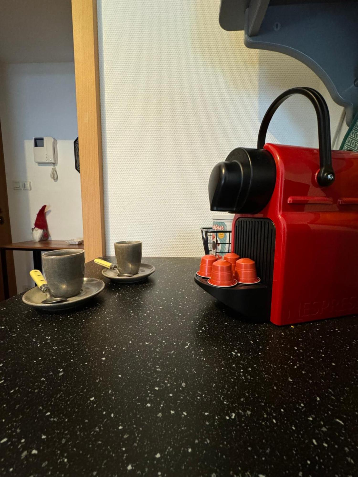 Le "Petit Colmarien" A 1Mn Du Centre Appartement Buitenkant foto